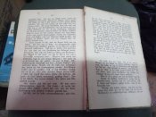 Роман на немецком языке 1894