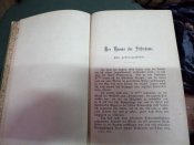 Роман на немецком языке 1894