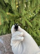 IMG_6146.jpeg