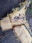 Залишки кевлару з кацапського броніка 6Б45