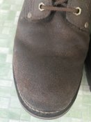 IMG_2307.JPG