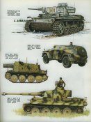 Squadron (2).jpg