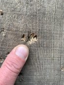 IMG_7382.jpeg