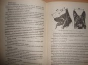 М.Джимов "Немецкая овчарка"