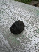 IMG_0081.jpeg