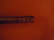 DSCN5441.JPG