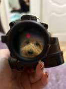 Acog 4x32