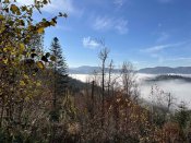 IMG_0517.JPEG