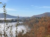 IMG_0520.JPEG