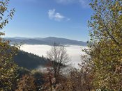 IMG_0521.JPEG
