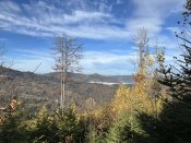 IMG_0530.JPEG