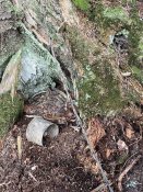 IMG_0550.JPEG
