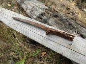 IMG_0553.JPEG