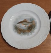 IMG_20241029_134700.jpg