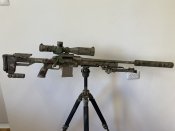IMG_2833.jpeg