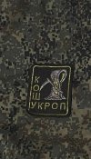 Шеврон русні