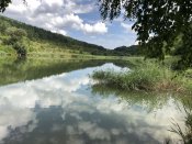 IMG_0405.JPEG