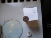 PA156160.JPG