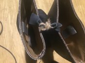 IMG_2535.jpeg