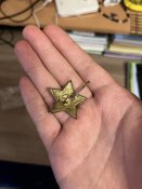 IMG_3931.jpeg
