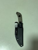 IMG_2890.jpeg