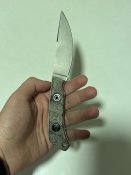 IMG_2891.jpeg