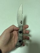 IMG_2892.jpeg
