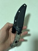 IMG_2895.jpeg
