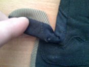 102APPLE_IMG_2048.JPG