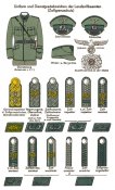 Жетон Zollgrenzschutz/SS