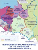 Жетон Zollgrenzschutz/SS