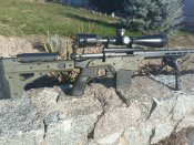 Savage Axis 2 Precision
