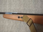 IMG_20241112_060555.jpg