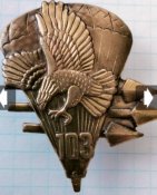 Лот 103 бригади ВДВ