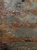IMG_20241117_201117.jpg