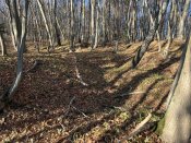 IMG_0612.JPEG
