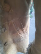 20230824_191857.jpg