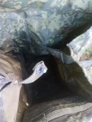 Кацапський противогазний підсумок