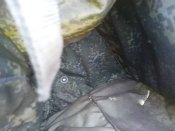 Кацапський противогазний підсумок