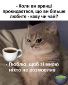 IMG-353f4539456c2c6e8dd83f0883c1920f-V.jpg
