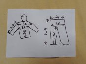 IMG_20241127_125105.jpg