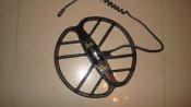 DSC01010.JPG