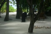 IMG_2066.jpg