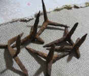 IMG_6475.jpg