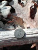 IMG0046A.jpg