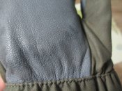 IMG_3152.JPG