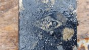 Вказівник повороту.Вінкерс.  Хорьх