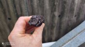 залишки затвору Gewehr 41