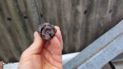 залишки затвору Gewehr 41