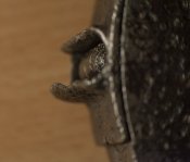 IMG_2883.jpg